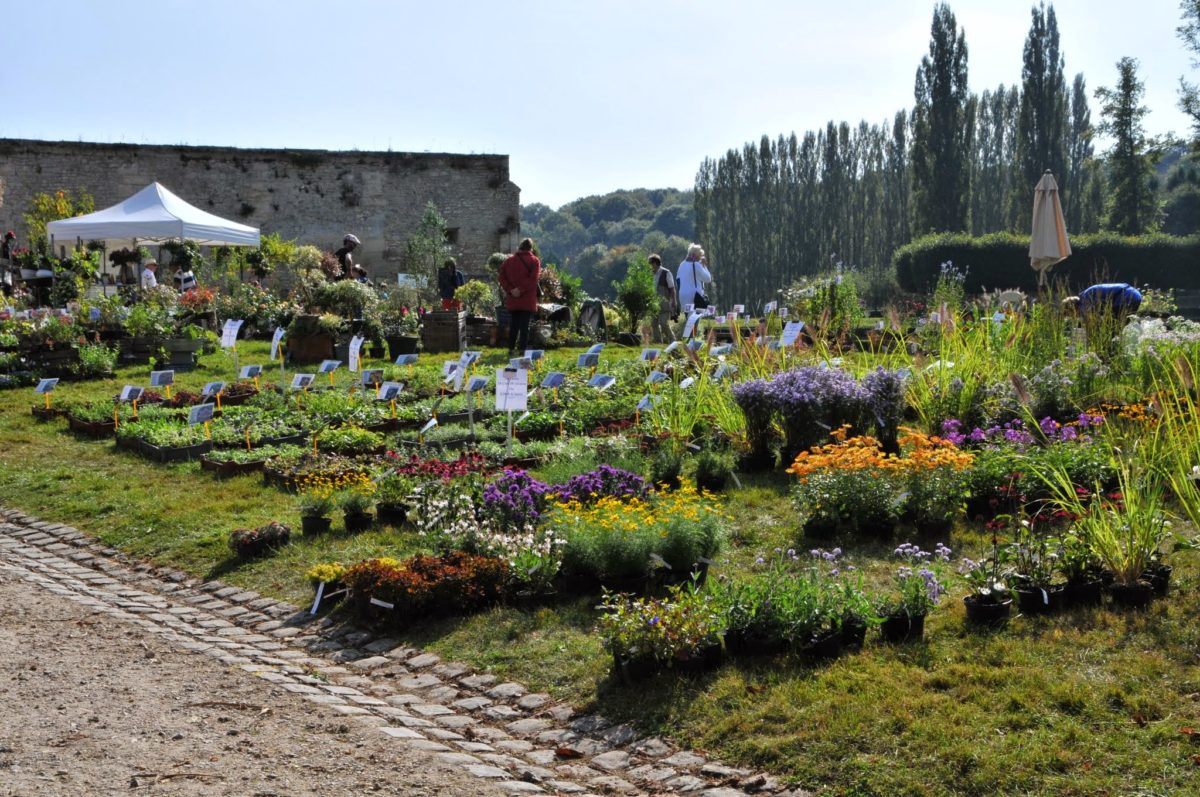 Fête des Plantes Fêtes des Plantes à Villarceaux