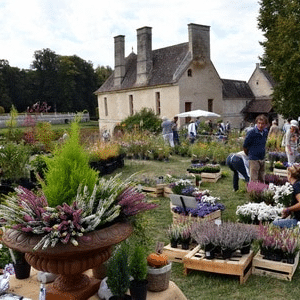 Fête des plantes